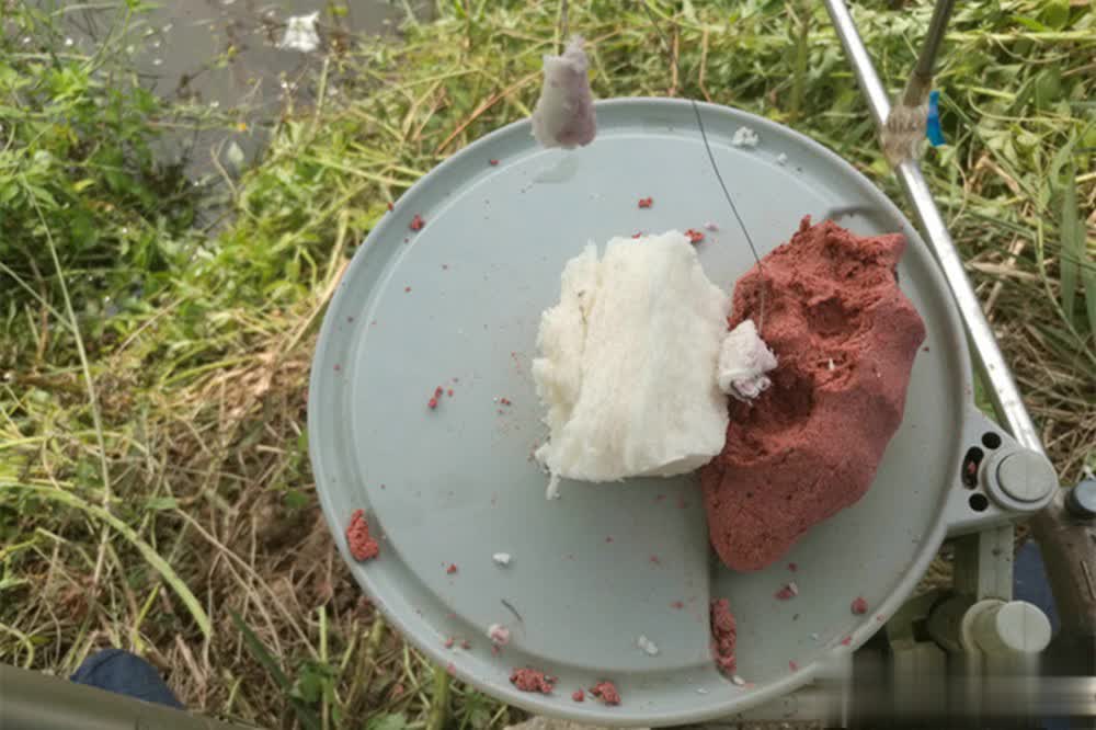 不要块状的, 第一是食物, 准备一点小 不要块状的, 第一是食物, 准备一点小